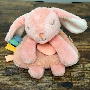 Itzy Ritzy Lovey Pink Bunny Plush with‎ Silicone Teether